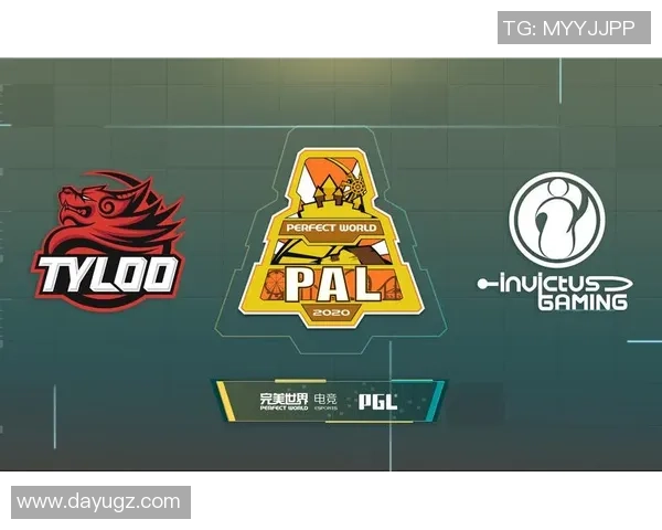 CSGO战队IG的灵活战术解析与团队协作深度剖析